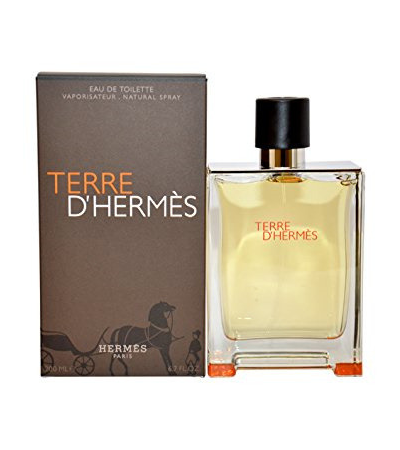 terre-d-hermes-for-men-edt-100ml
