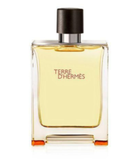 terre-d-hermes-for-men-edt-100ml