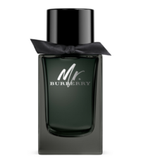 mr-burberry-for-men-edp-100ml
