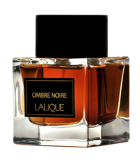 lalique-ombre-noire-for-men-edp-100ml